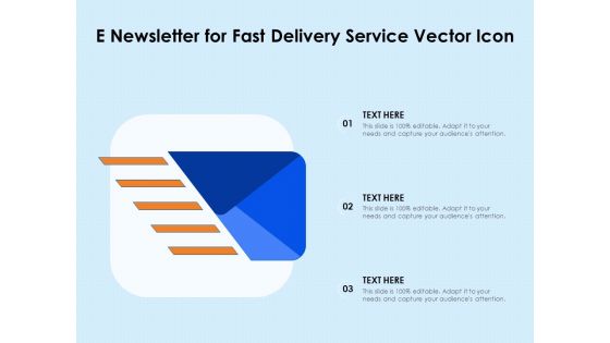 E Newsletter For Fast Delivery Service Vector Icon Ppt PowerPoint Presentation Gallery Examples PDF