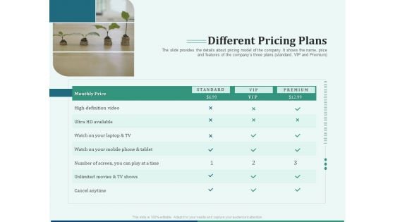 Early Stage Funding Different Pricing Plans Ppt Professional Design Templates PDF