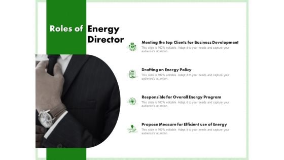 Eco Friendly And Feasibility Management Energy Director Introduction PDF