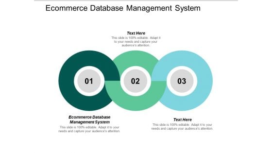 Ecommerce Database Management System Ppt PowerPoint Presentation Inspiration Outfit Cpb