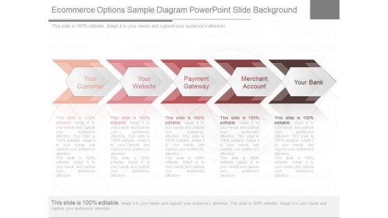 Ecommerce Options Sample Diagram Powerpoint Slide Background