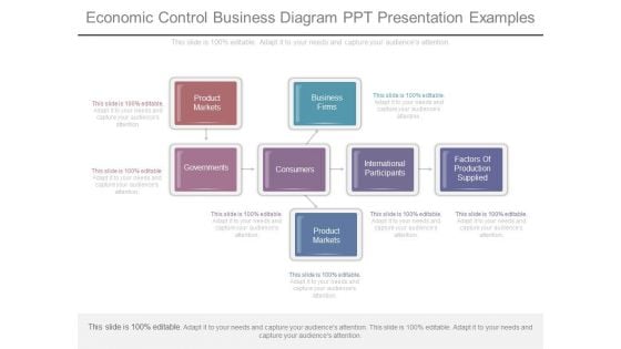 Economic Control Business Diagram Ppt Presentation Examples