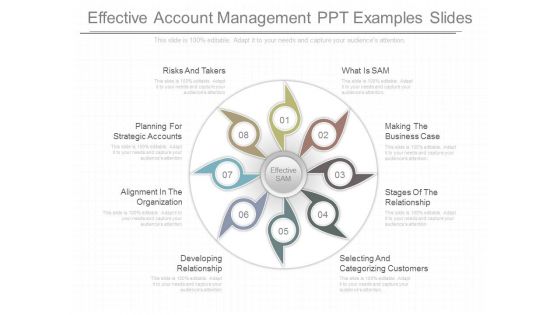 Effective Account Management Ppt Examples Slides