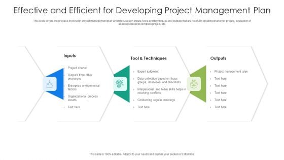 Effective And Efficient For Developing Project Management Plan Ppt PowerPoint Presentation Gallery Graphics PDF