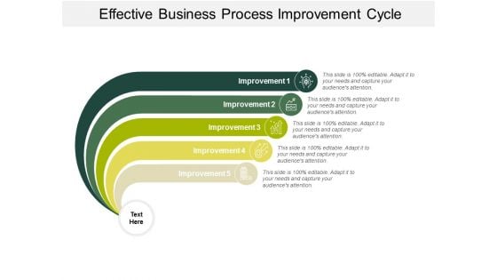 Effective Business Process Improvement Cycle Ppt PowerPoint Presentation Infographics Graphic Images