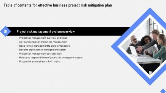 Effective Business Project Risk Mitigation Plan Table Of Contents Inspiration PDF