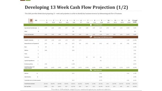 Effective Corporate Turnaround Management Developing 13 Week Cash Flow Projection Clipart PDF