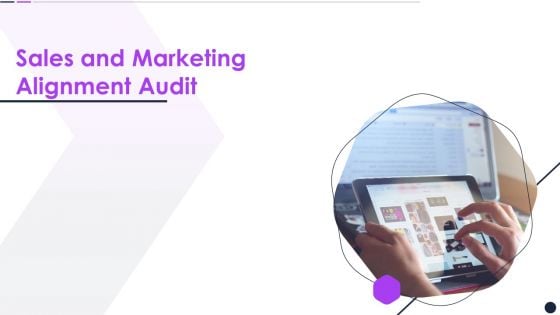 Effective Digital Marketing Audit Process Sales And Marketing Alignment Audit Rules PDF