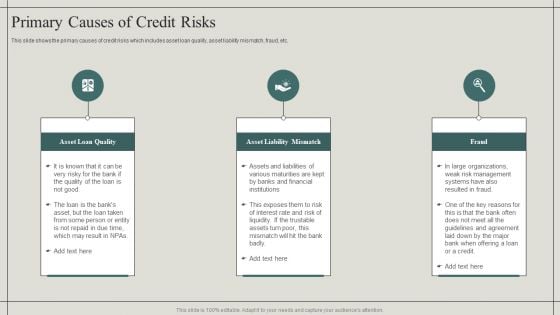 Effective Financial Risk Management Strategies Primary Causes Of Credit Risks Brochure PDF