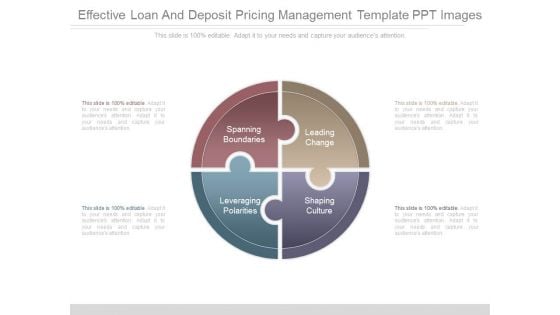 Effective Loan And Deposit Pricing Management Template Ppt Images