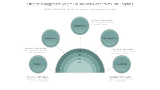 Effective Management System For Business Powerpoint Slide Graphics