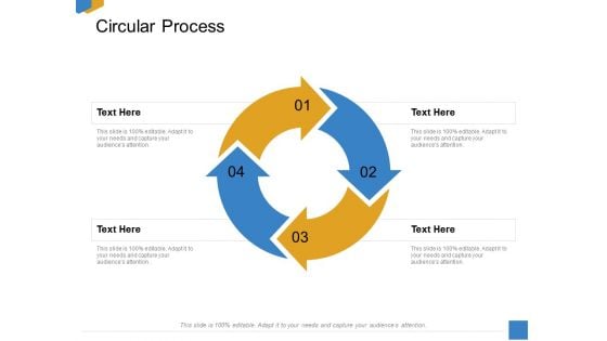 Effective Outcome Launch Roadmap Circular Process Ppt Gallery Format PDF