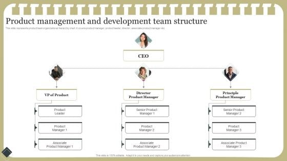 Effective Product Development Strategy Product Management And Development Team Structure Download PDF