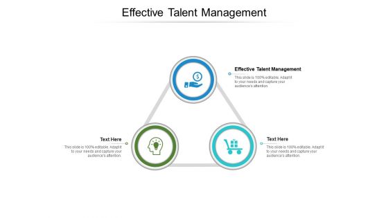 Effective Talent Management Ppt PowerPoint Presentation Summary Cpb