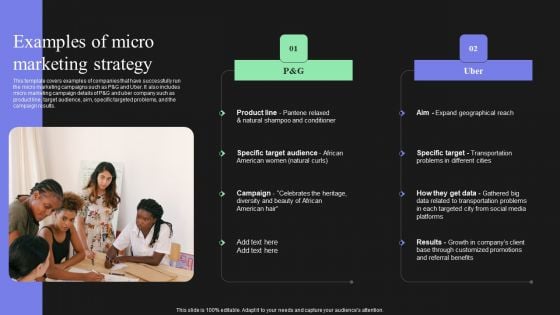 Effective Target Marketing Strategies To Acquire Customers Examples Of Micro Marketing Strategy Summary PDF Effective Target Marketing Strategies To Acquire Customers Examples Of Micro Marketing Strategy Summary PDF