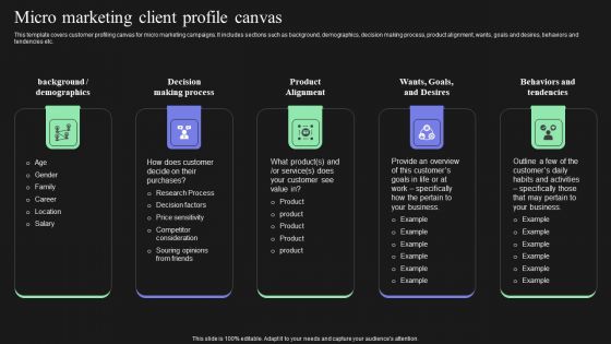Effective Target Marketing Strategies To Acquire Customers Micro Marketing Client Profile Canvas Topics PDF