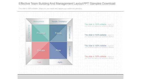 Effective Team Building And Management Layout Ppt Samples Download