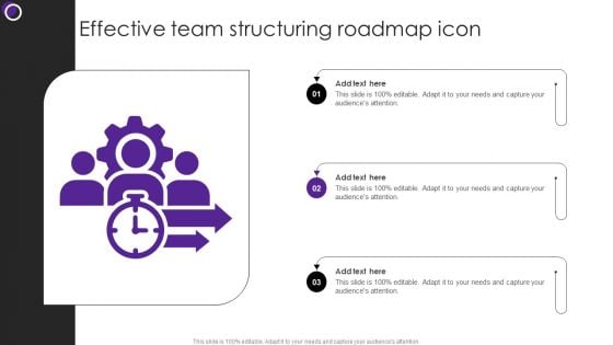 Effective Team Structuring Roadmap Icon Pictures PDF