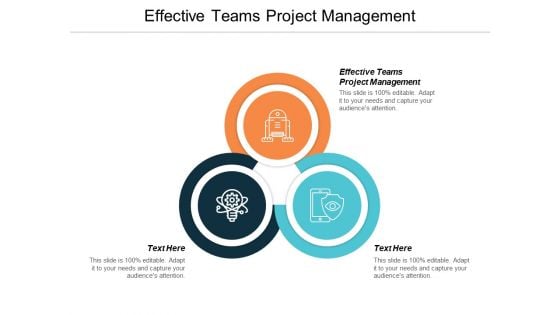 Effective Teams Project Management Ppt PowerPoint Presentation Outline Slideshow Cpb