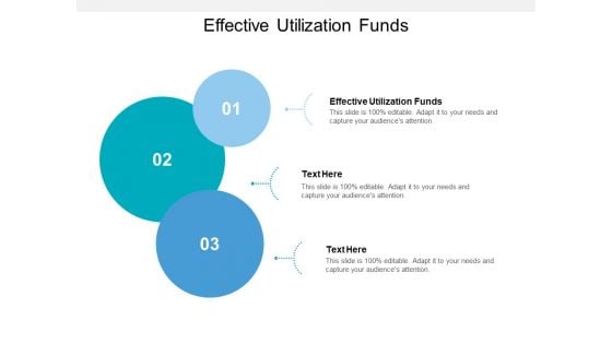 Effective Utilization Funds Ppt PowerPoint Presentation Layouts Elements Cpb