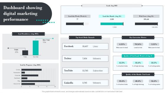 Efficient Product Marketing Techniques Dashboard Showing Digital Marketing Performance Slides PDF