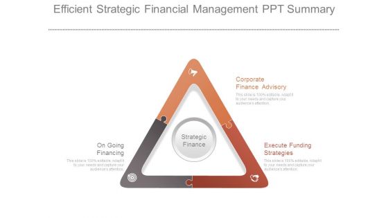 Efficient Strategic Financial Management Ppt Summary