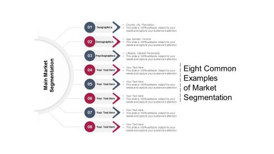 Eight Common Examples Of Market Segmentation Ppt PowerPoint Presentation Layouts Inspiration PDF