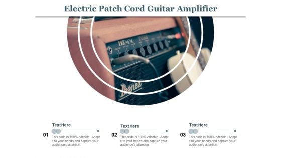 Electric Patch Cord Guitar Amplifier Ppt PowerPoint Presentation Styles Skills PDF