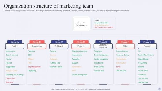 Electronic Commerce Systems Organization Structure Of Marketing Team Summary PDF