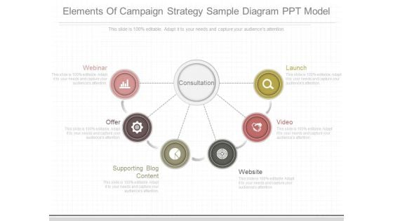 Elements Of Campaign Strategy Sample Diagram Ppt Model