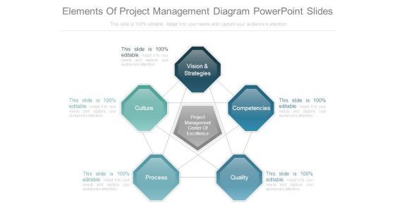 Elements Of Project Management Diagram Powerpoint Slides