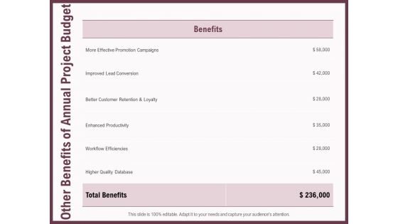 Elements Other Benefits Of Annual Project Budget Ppt Styles Vector PDF Elements Other Benefits Of Annual Project Budget Ppt Styles Vector PDF
