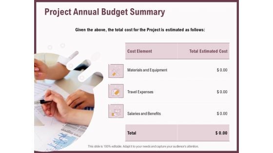 Elements Project Annual Budget Summary Ppt Model Example Introduction PDF