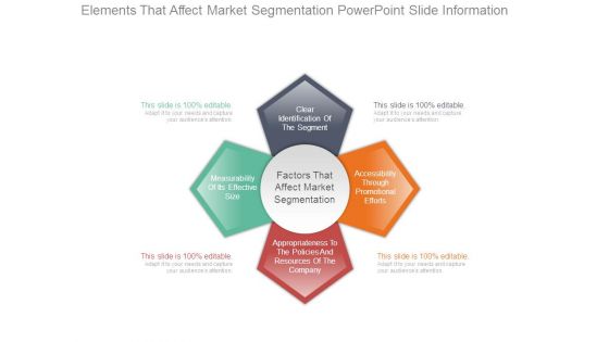 Elements That Affect Market Segmentation Powerpoint Slide Information