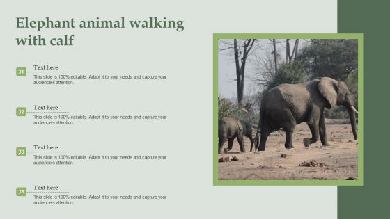 Elephant Animal Walking With Calf Ppt PowerPoint Presentation Infographic Template Background Designs PDF