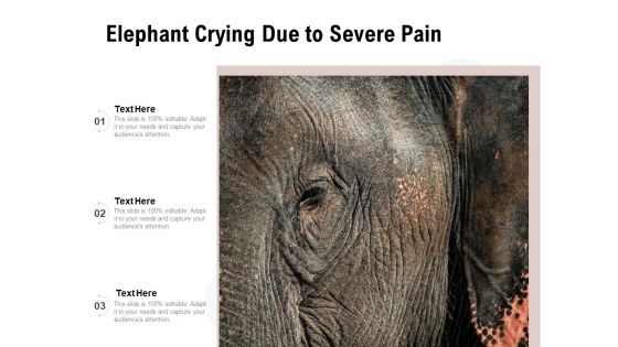 Elephant Crying Due To Severe Pain Ppt PowerPoint Presentation Icon Portfolio PDF