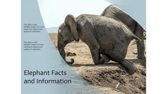 Elephant Facts And Information Ppt PowerPoint Presentation Model Graphics Example PDF