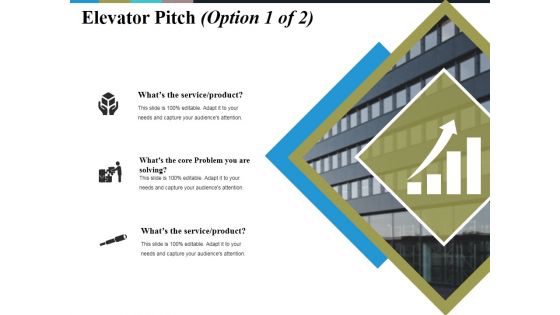 Elevator Pitch Template Ppt PowerPoint Presentation Show Pictures