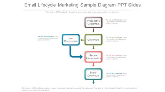 Email Lifecycle Marketing Sample Diagram Ppt Slides