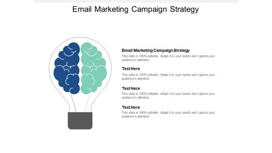 Email Marketing Campaign Strategy Ppt PowerPoint Presentation Model Tips Cpb
