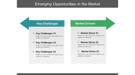 Emerging Opportunities In The Market Ppt PowerPoint Presentation Professional Summary