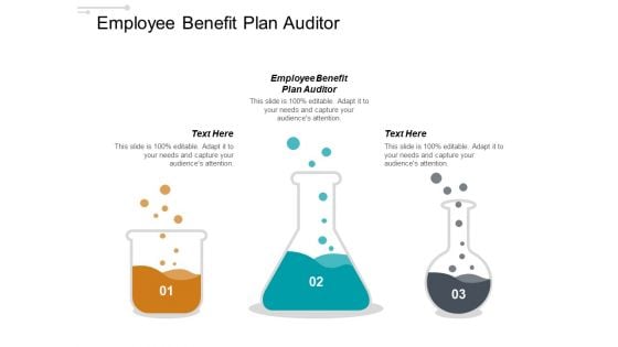 Employee Benefit Plan Auditor Ppt PowerPoint Presentation Inspiration Slides Cpb