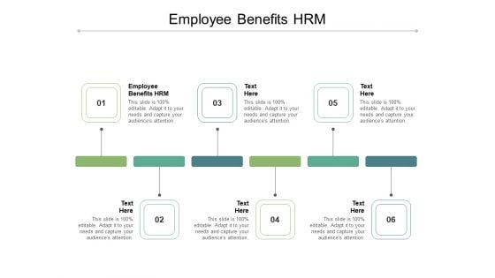 Employee Benefits HRM Ppt PowerPoint Presentation Professional Graphic Images Cpb