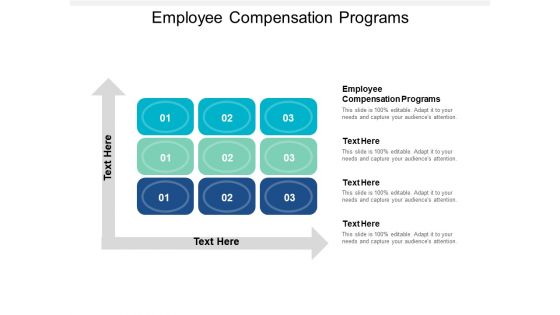 Employee Compensation Programs Ppt PowerPoint Presentation Styles Layout Cpb