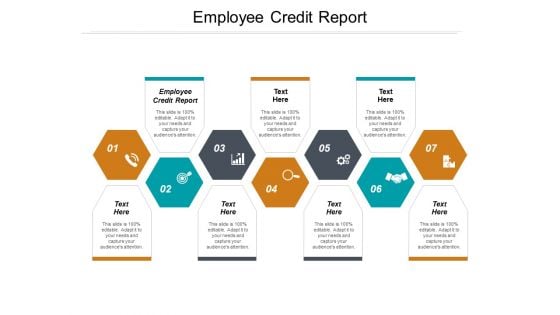 Employee Credit Report Ppt PowerPoint Presentation Model Visual Aids Cpb