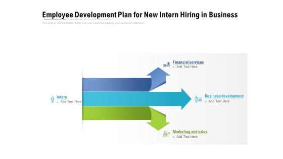 Employee Development Plan For New Intern Hiring In Business Ppt PowerPoint Presentation File Styles PDF