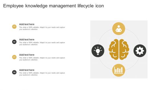 Employee Knowledge Management Lifecycle Icon Themes PDF