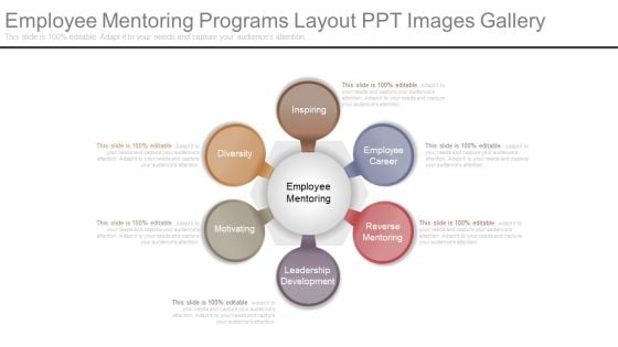 Employee Mentoring Programs Layout Ppt Images Gallery