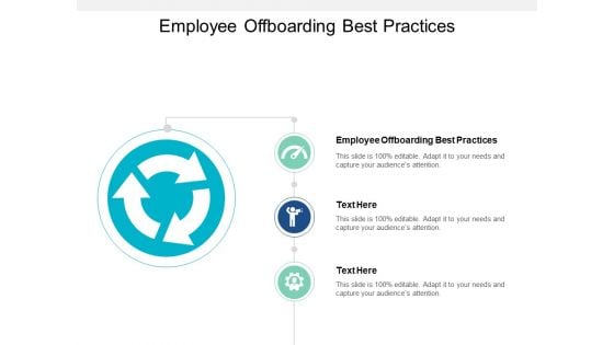 Employee Offboarding Best Practices Ppt PowerPoint Presentation Portfolio Background Images