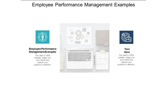 Employee Performance Management Examples Ppt PowerPoint Presentation Professional Background Designs Cpb